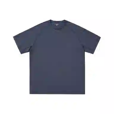 PVPVPV T