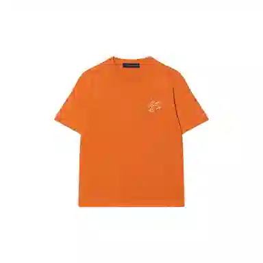 LOUIS VUITTON T