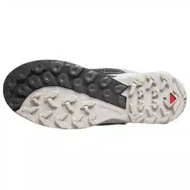 Salomon X Ultra Alpine Gore-Tex