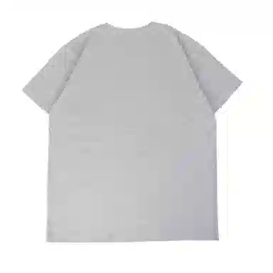 THE MUSEUM VISITOR T