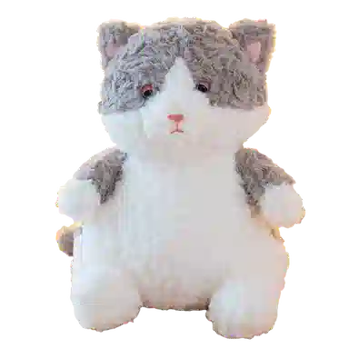 JBBCN 25cm35cm
