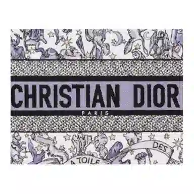 DIOR BookTote Tote