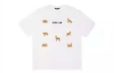 ICONS Lab ICS logoT