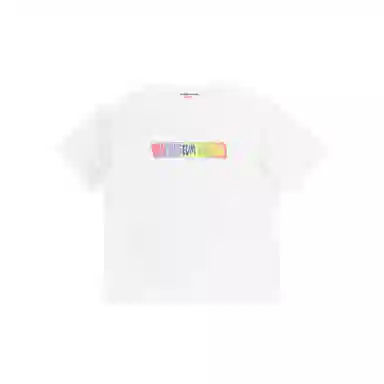 THE MUSEUM VISITOR T