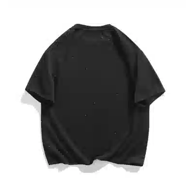 FRALAARRI T