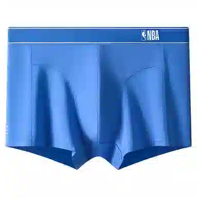 NBA logo 4