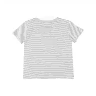 THE MUSEUM VISITOR T