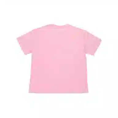 THE MUSEUM VISITOR T