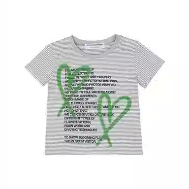 THE MUSEUM VISITOR T