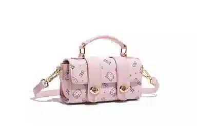 Sanrio PU
