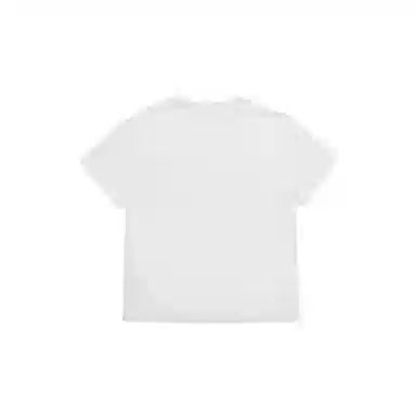 THE MUSEUM VISITOR T