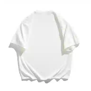 FRALAARRI T