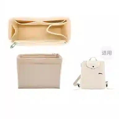 Longchamp Backpack Organizer