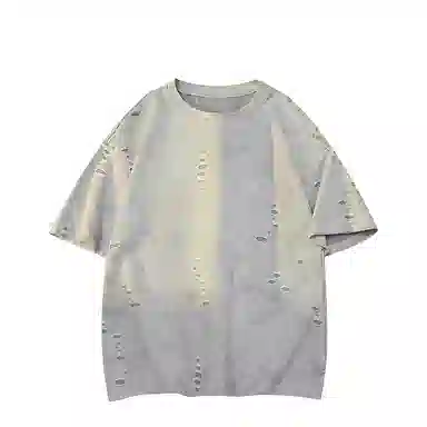 FRALAARRI T