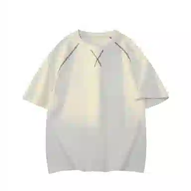 FRALAARRI T