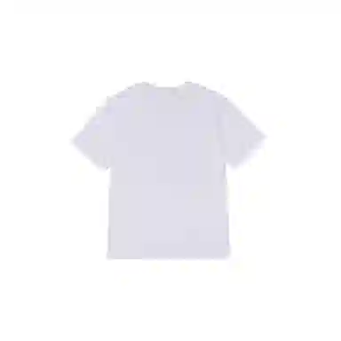 THE MUSEUM VISITOR T