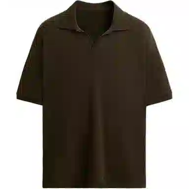 ZARA Polo