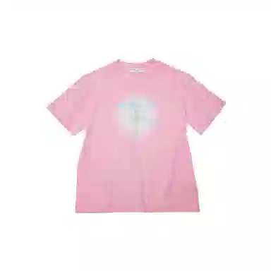 THE MUSEUM VISITOR T