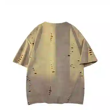 FRALAARRI T