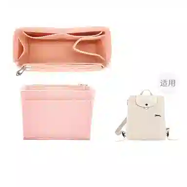 Longchamp Backpack Organizer