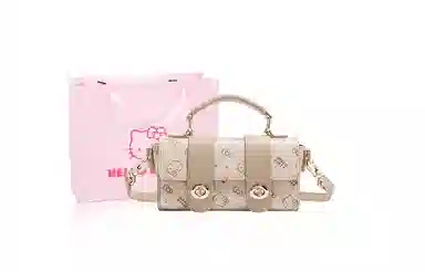 Sanrio PU