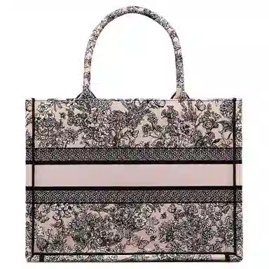 DIOR BookTote Tote