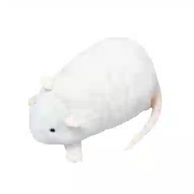 30cm40cm50cm