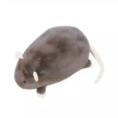30cm40cm50cm