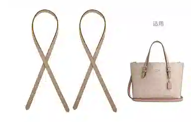 ROSEDAWN COACH Mollie 25Tote diy