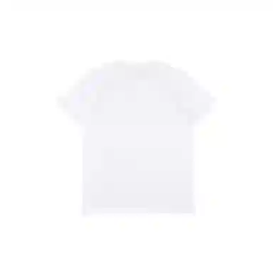 THE MUSEUM VISITOR T