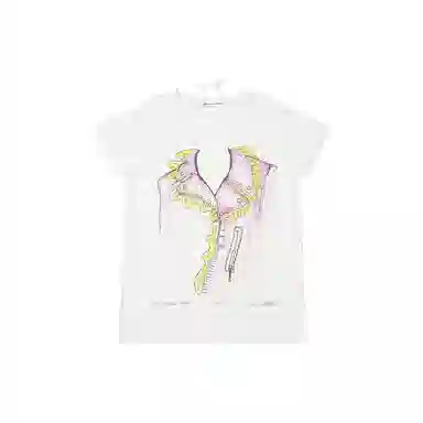 THE MUSEUM VISITOR T