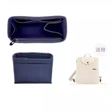 Longchamp Backpack Organizer