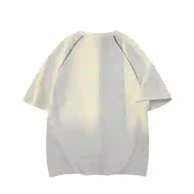 FRALAARRI T