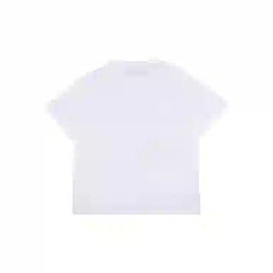 THE MUSEUM VISITOR T