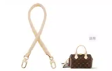 LOUIS VUITTON Speedy 20