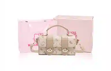 Sanrio PU