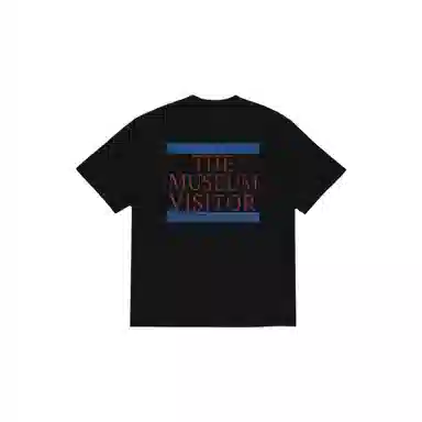 THE MUSEUM VISITOR T