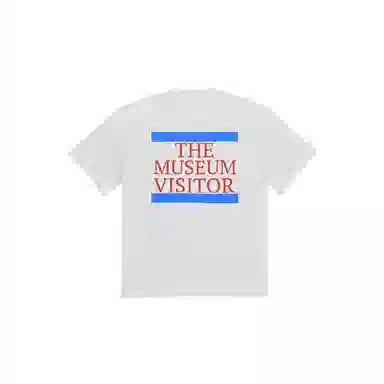 THE MUSEUM VISITOR T