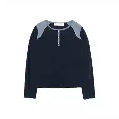 THE MUSEUM VISITOR T