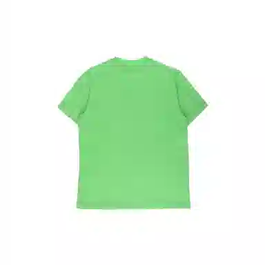 THE MUSEUM VISITOR T