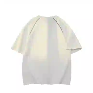 FRALAARRI T