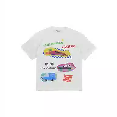 THE MUSEUM VISITOR T