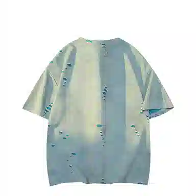FRALAARRI T