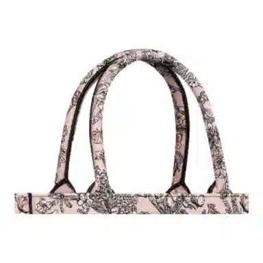 DIOR BookTote Tote