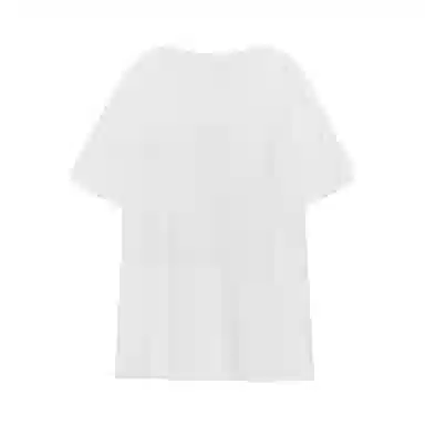 THE MUSEUM VISITOR T