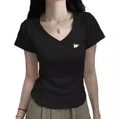 AWAO v T