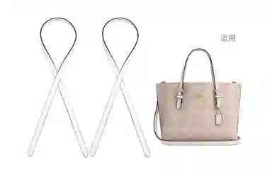 ROSEDAWN COACH Mollie 25Tote diy