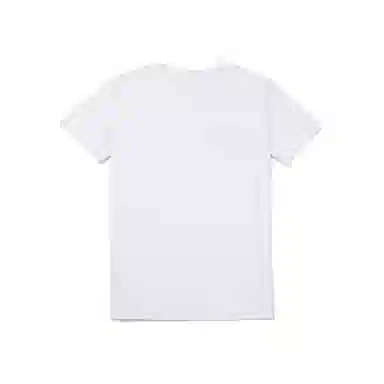 THE MUSEUM VISITOR T