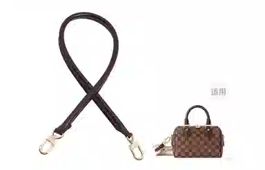 LOUIS VUITTON Speedy 20