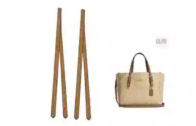 ROSEDAWN COACH Mollie 25Tote diy